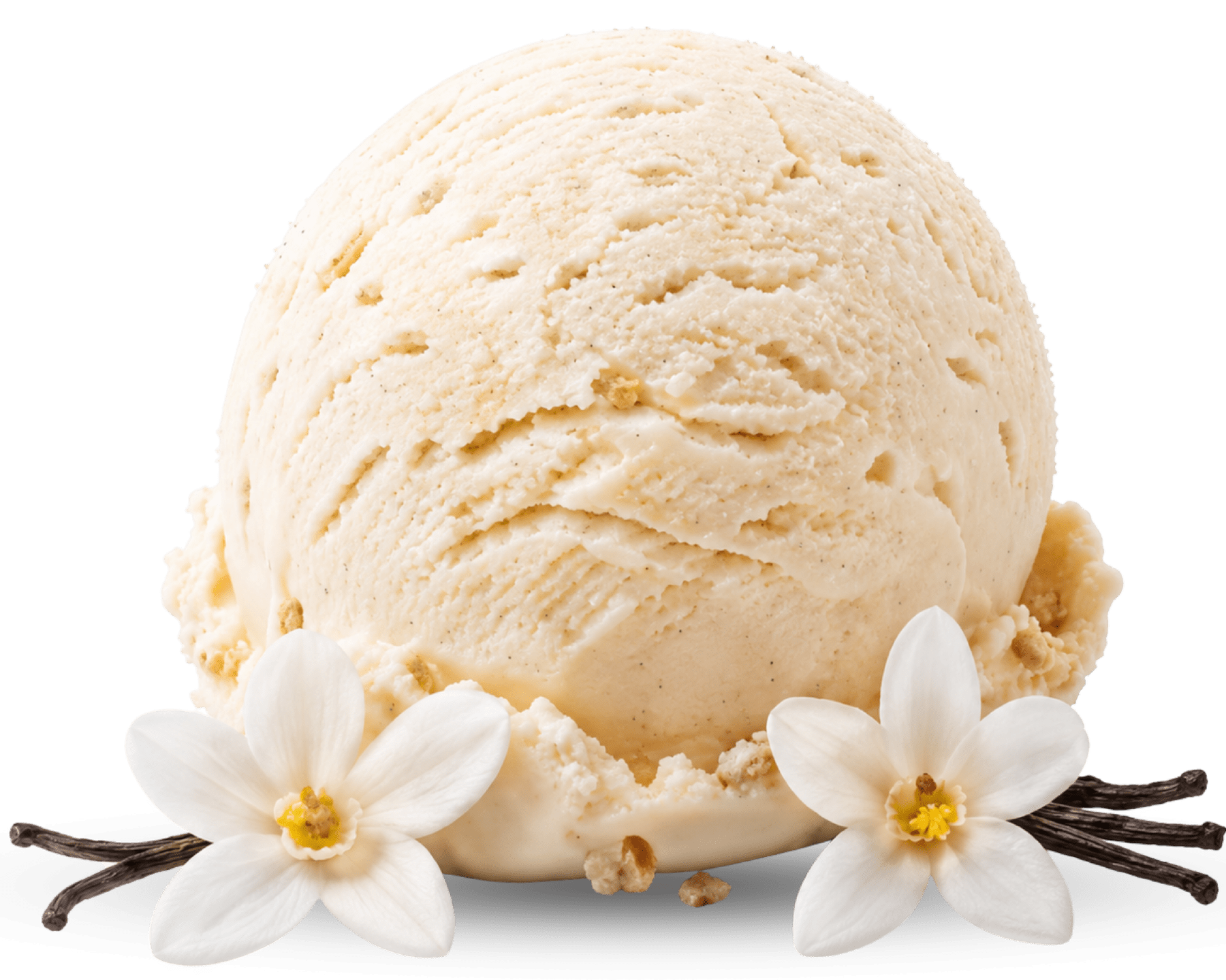 Vanilla