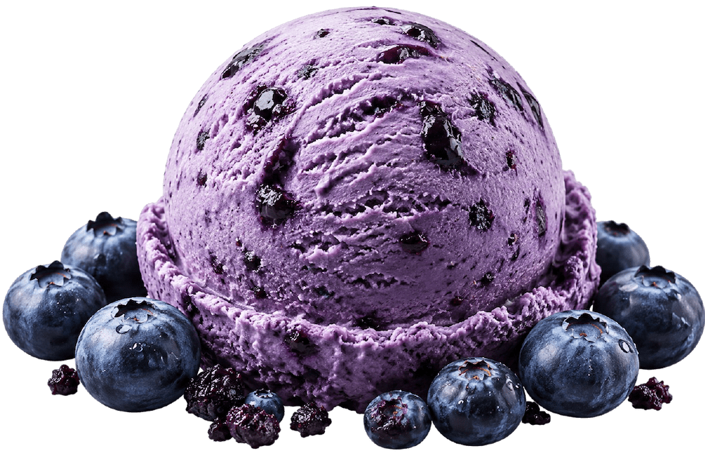 Blueberry Bliss
