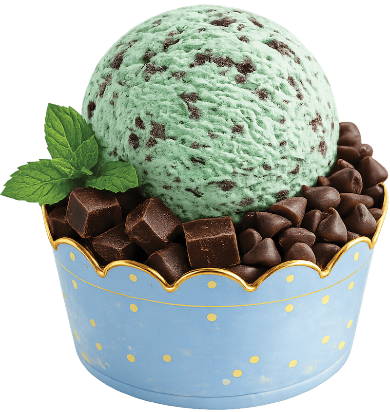 Mint Choco Chips